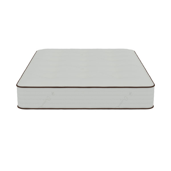 Alwyn Home Hallee 13'' Medium Mattress Wayfair